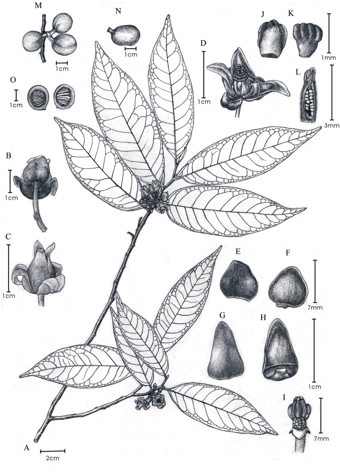 Fig 6