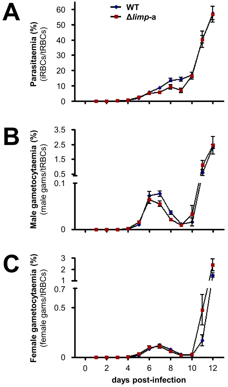 Figure 2—figure supplement 2.