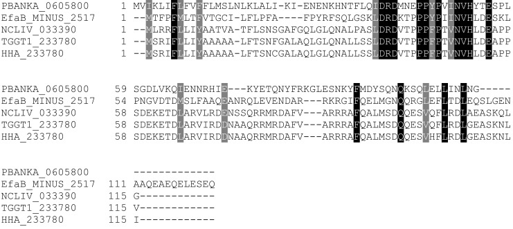 Figure 1—figure supplement 1.