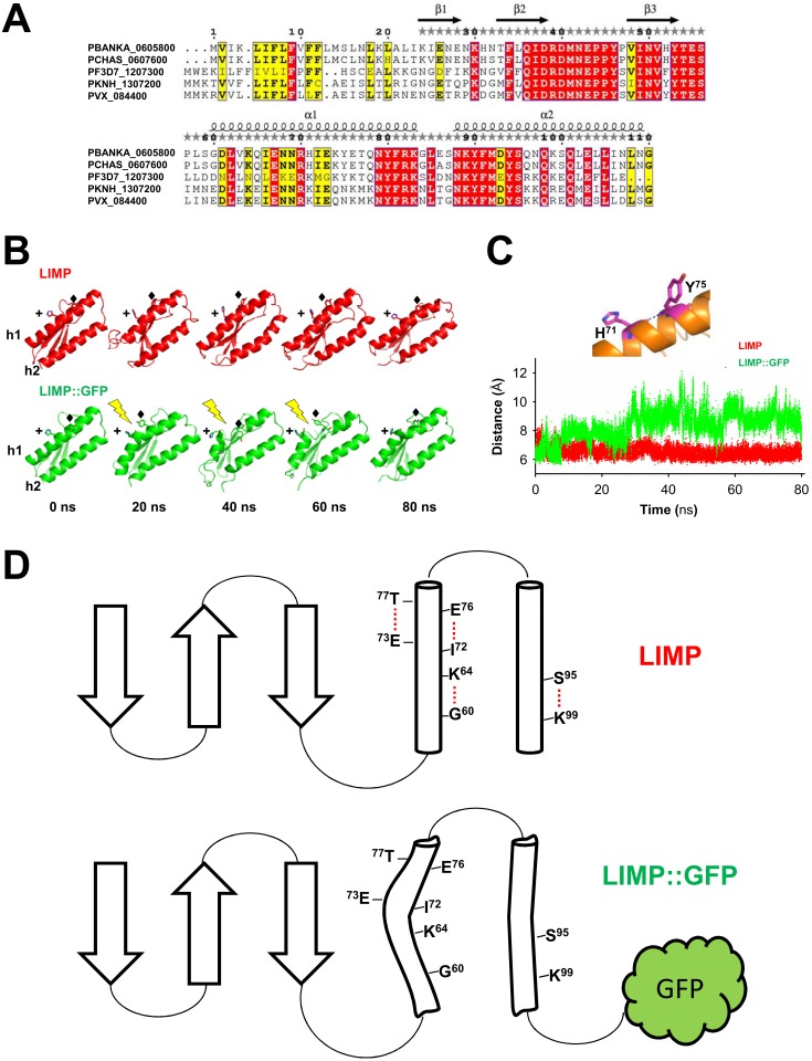 Figure 6—figure supplement 1.