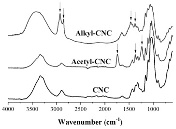 graphic file with name polymers-12-00178-i001.jpg