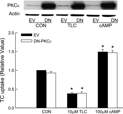 Fig. 10.