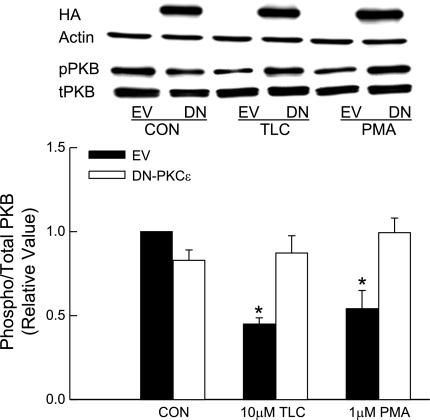 Fig. 11.