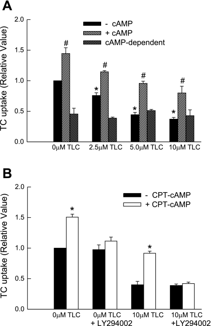 Fig. 12.