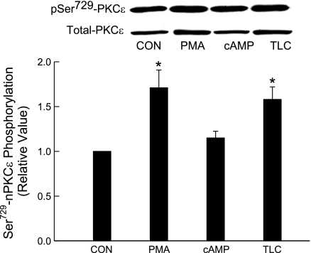 Fig. 9.