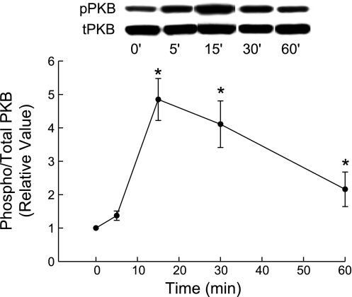 Fig. 5.