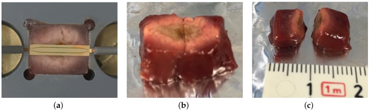 Figure 10