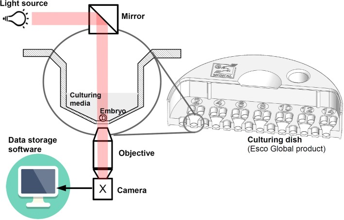 Fig. 6