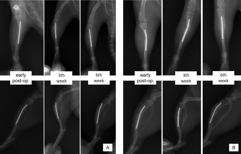 Fig. 3