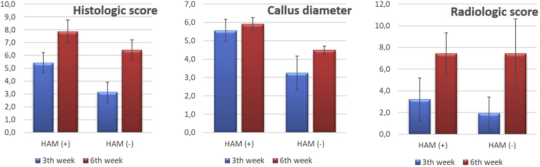 Fig. 4