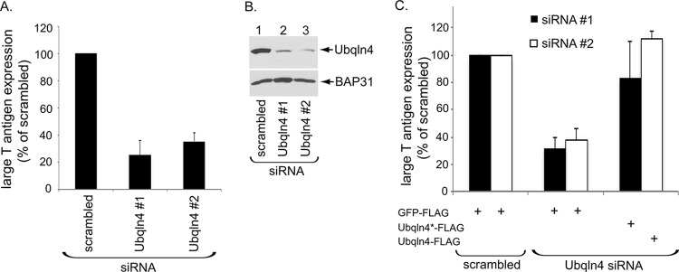 FIG 2