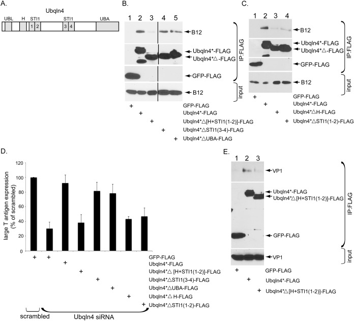 FIG 4