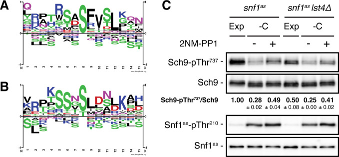 Figure 3—figure supplement 1.