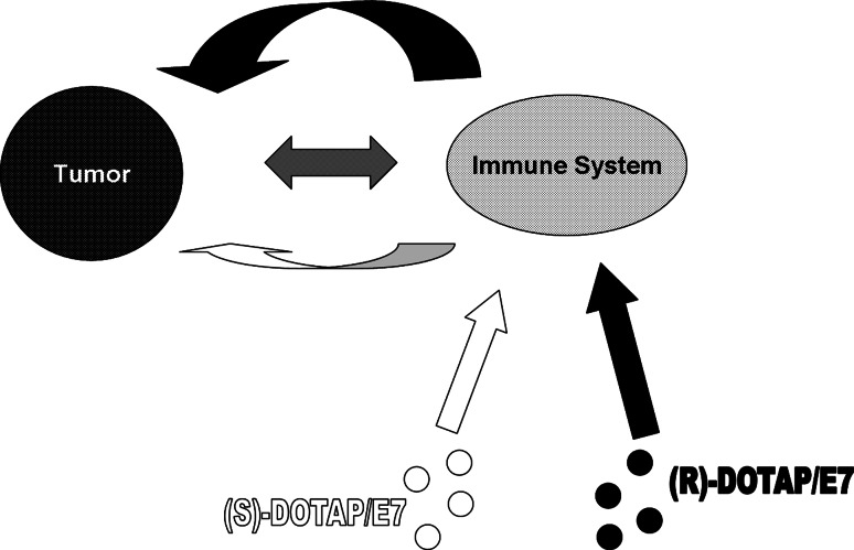 Fig. 7