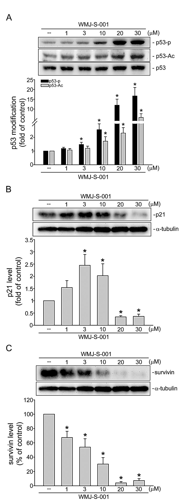 Fig.6