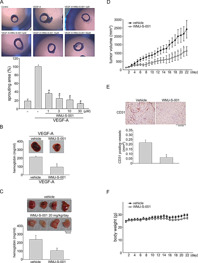 Fig.2