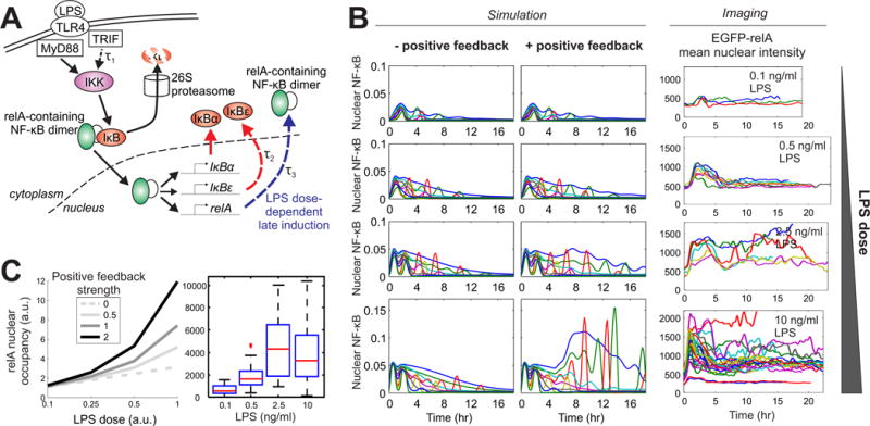 Fig. 4