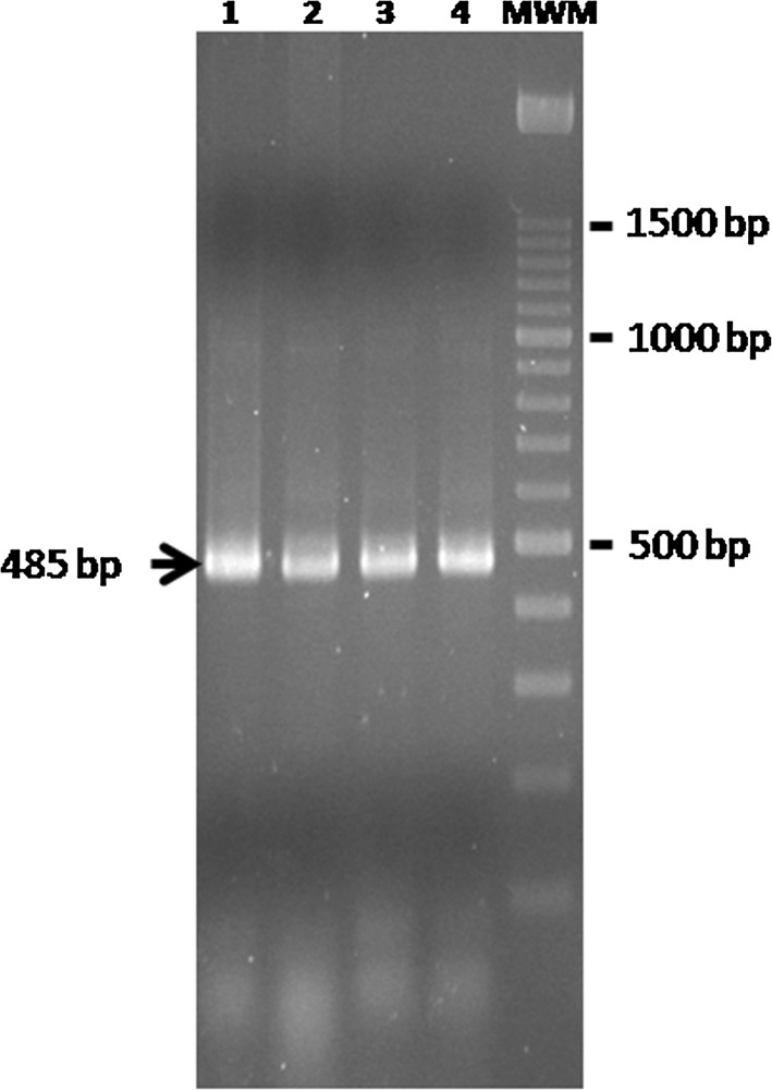Fig. 1