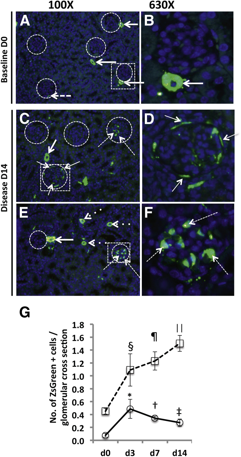 Figure 5