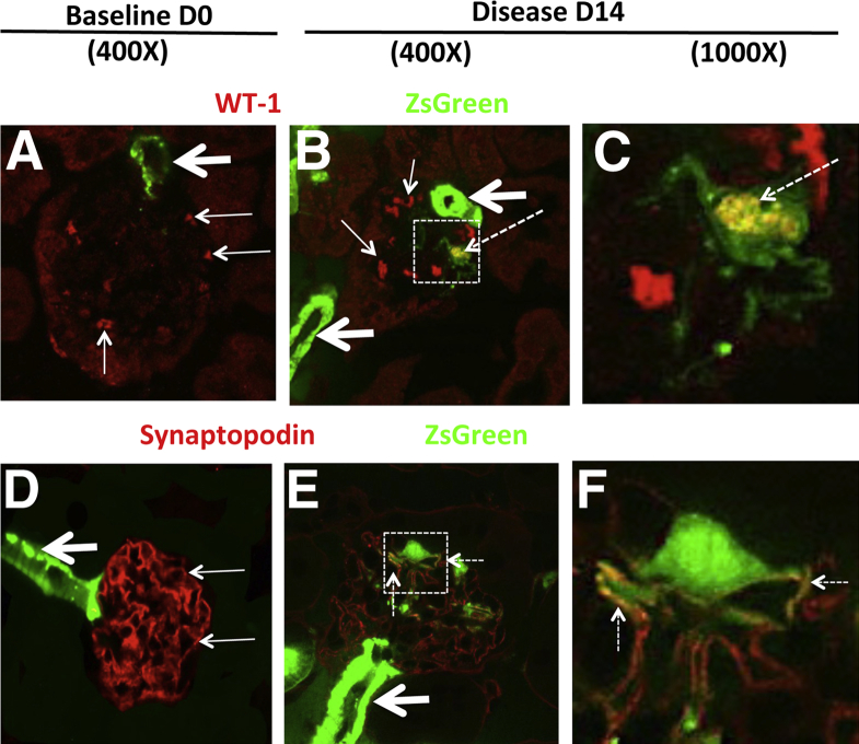 Figure 6