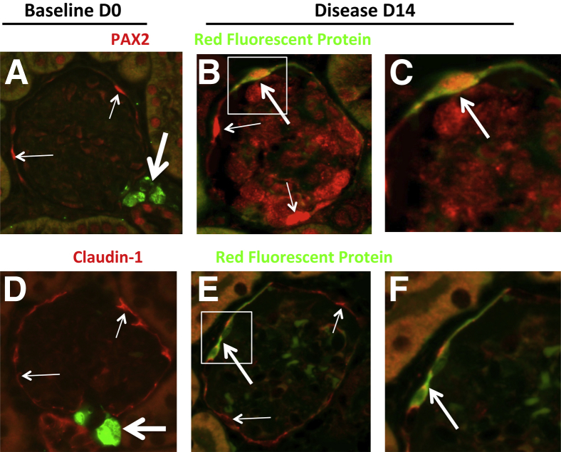 Figure 4