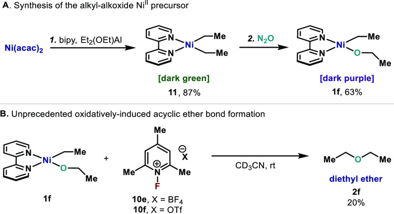 Scheme 8