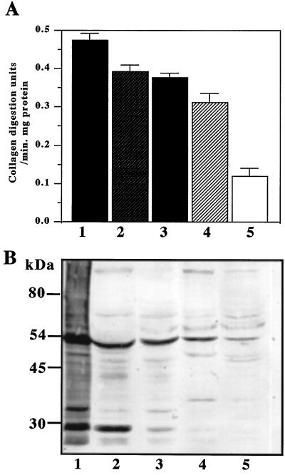 FIG. 5