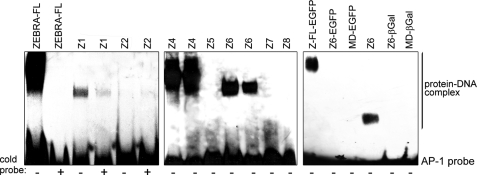 FIGURE 2.