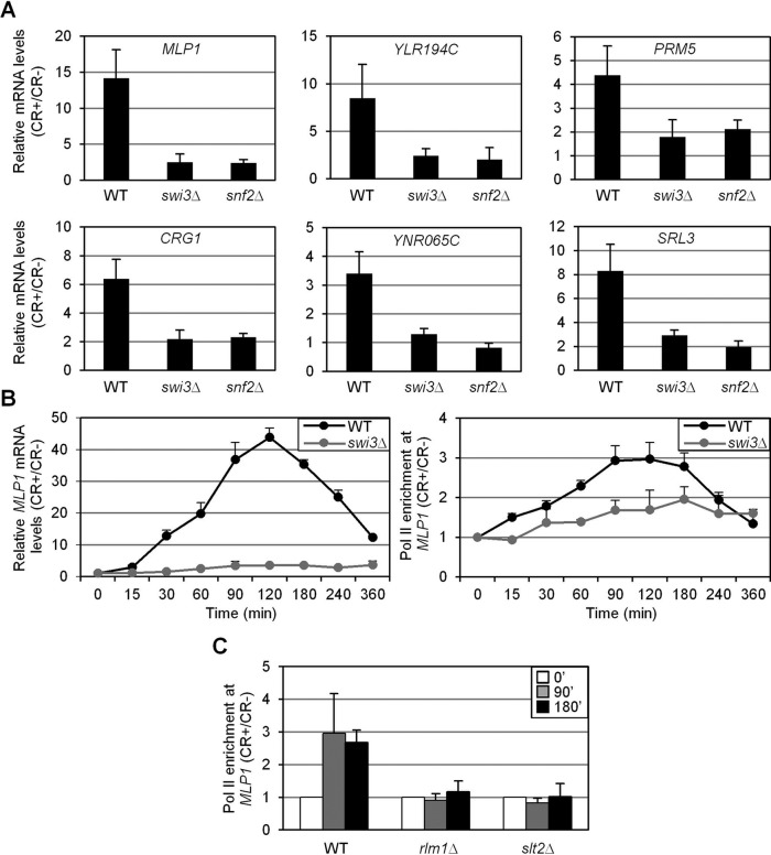 FIGURE 1: