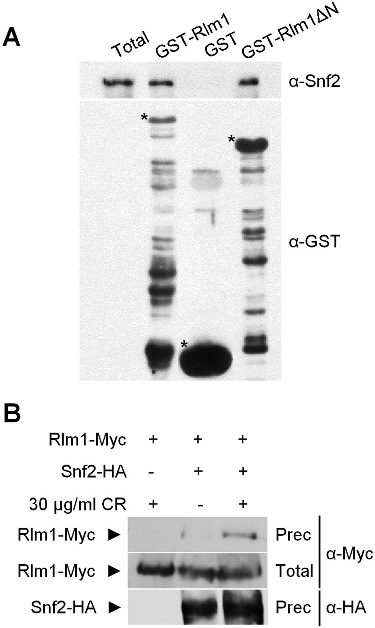 FIGURE 6: