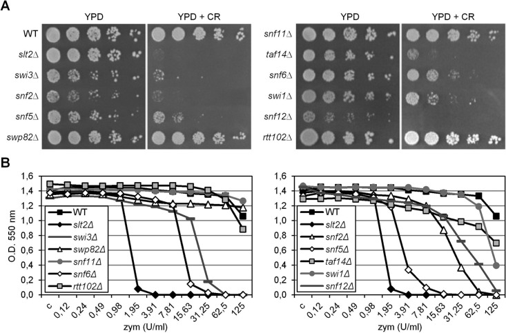 FIGURE 3: