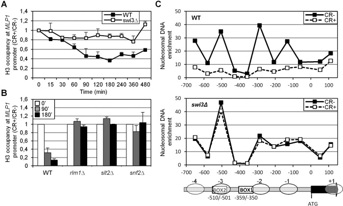 FIGURE 7: