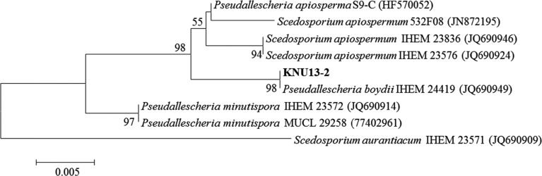 Fig. 1