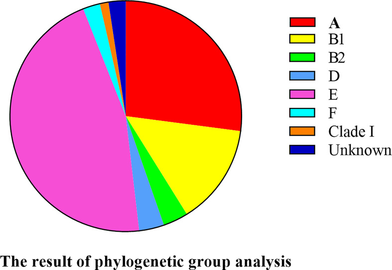 Figure 7