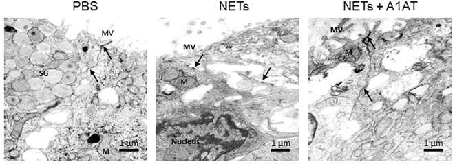 Figure 6