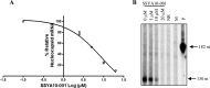 Fig 9