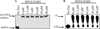 Fig 7