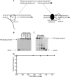 Fig 8