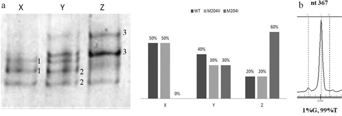 FIG 1