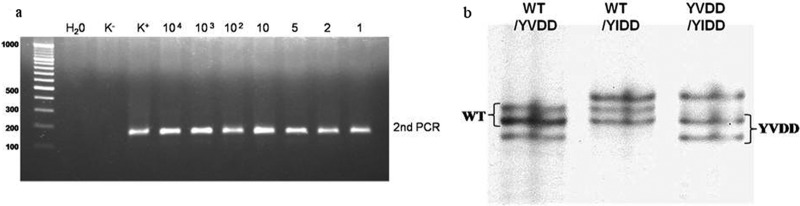 FIG 2