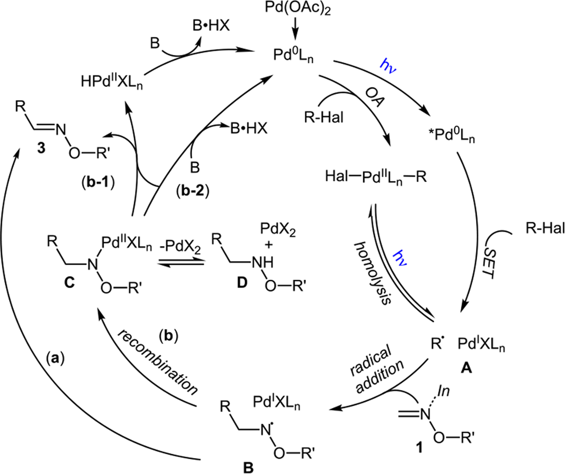 Scheme 5.