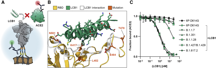 Figure 5