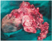 Figure 5: