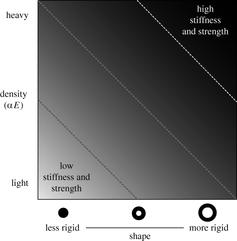 Figure 2.