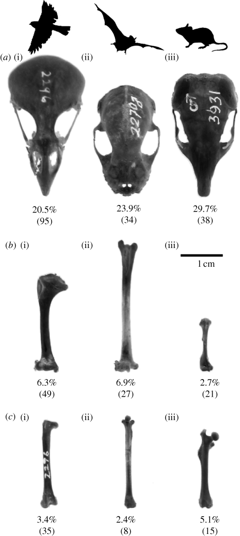 Figure 3.