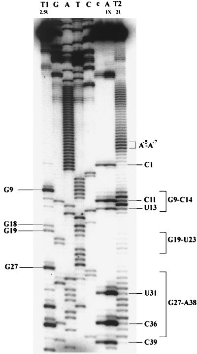 FIG. 4