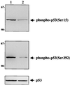 FIG. 5