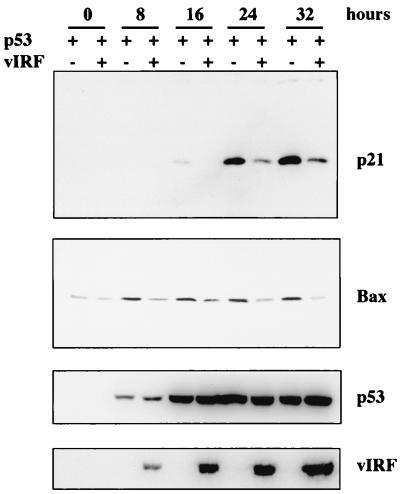 FIG. 8