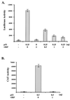 FIG. 7