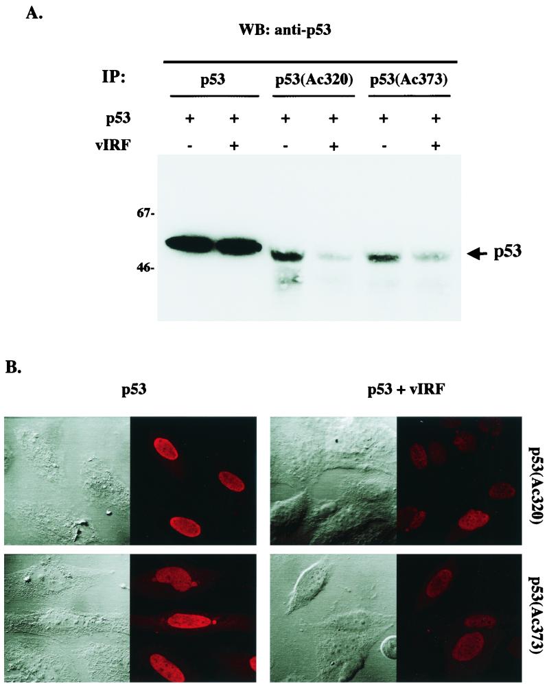 FIG. 6